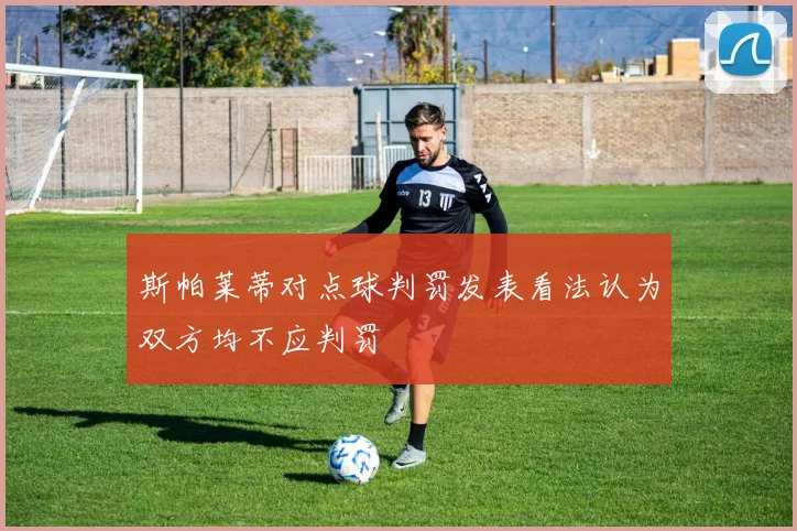 斯帕莱蒂对点球判罚发表看法认为双方均不应判罚
