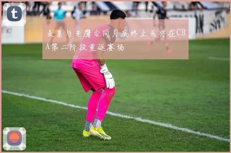 麦基与老鹰合同月底终止或将在CBA第二阶段重返赛场